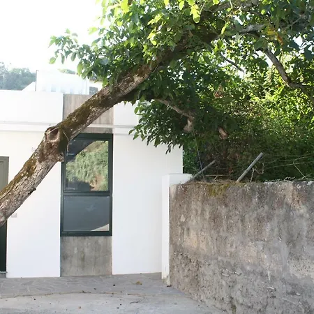 Casa Del Nogal